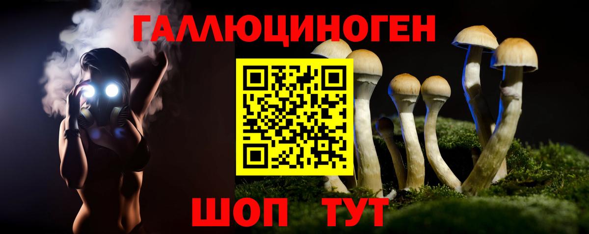 купить   Псилоцибиновые грибы Psilocybine cubensis  Знаменск  Вход с VPN  Псилоцибиновые грибы мицелий 